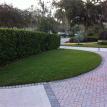 green grass