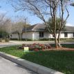 lawn care st. augustine grass sanford florida debary lawn grass problems weed in