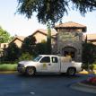 olive garden lawn spray pest control chinch bugs ants