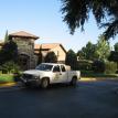 olive garden lawn spray pest control chinch bugs ants