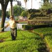olive garden lawn spray pest control chinch bugs ants