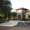 olive garden lawn spray pest control chinch bugs ants