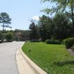 lawn care st. augustine grass sanford florida debary lawn grass problems weed in