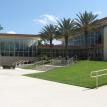 lawn care st. augustine grass sanford florida debary lawn grass problems weed in