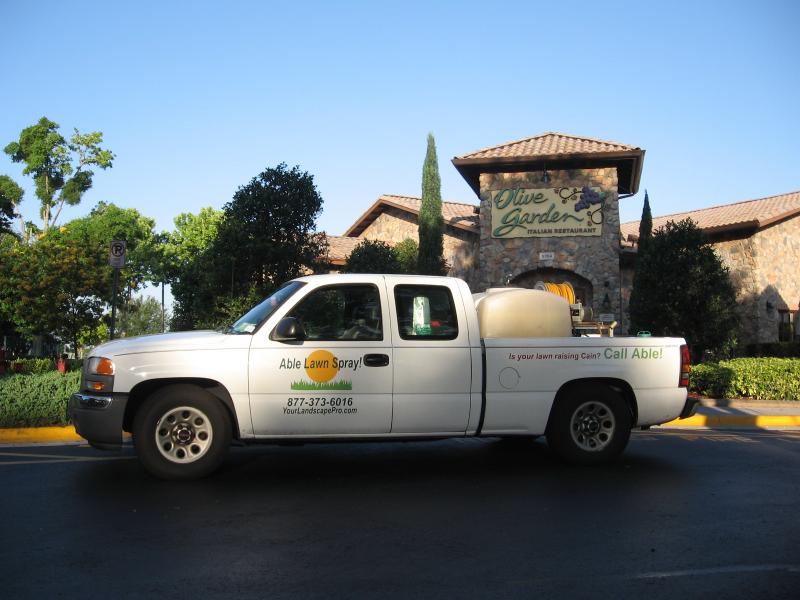 olive garden lawn spray pest control chnch bugs ants